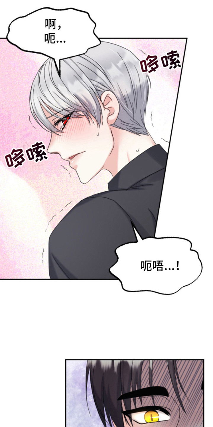 白兔为伴漫画,第12话1图