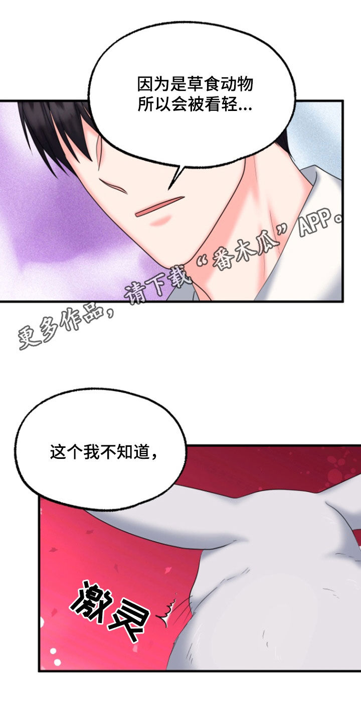 白兔为伴漫画,第45话1图