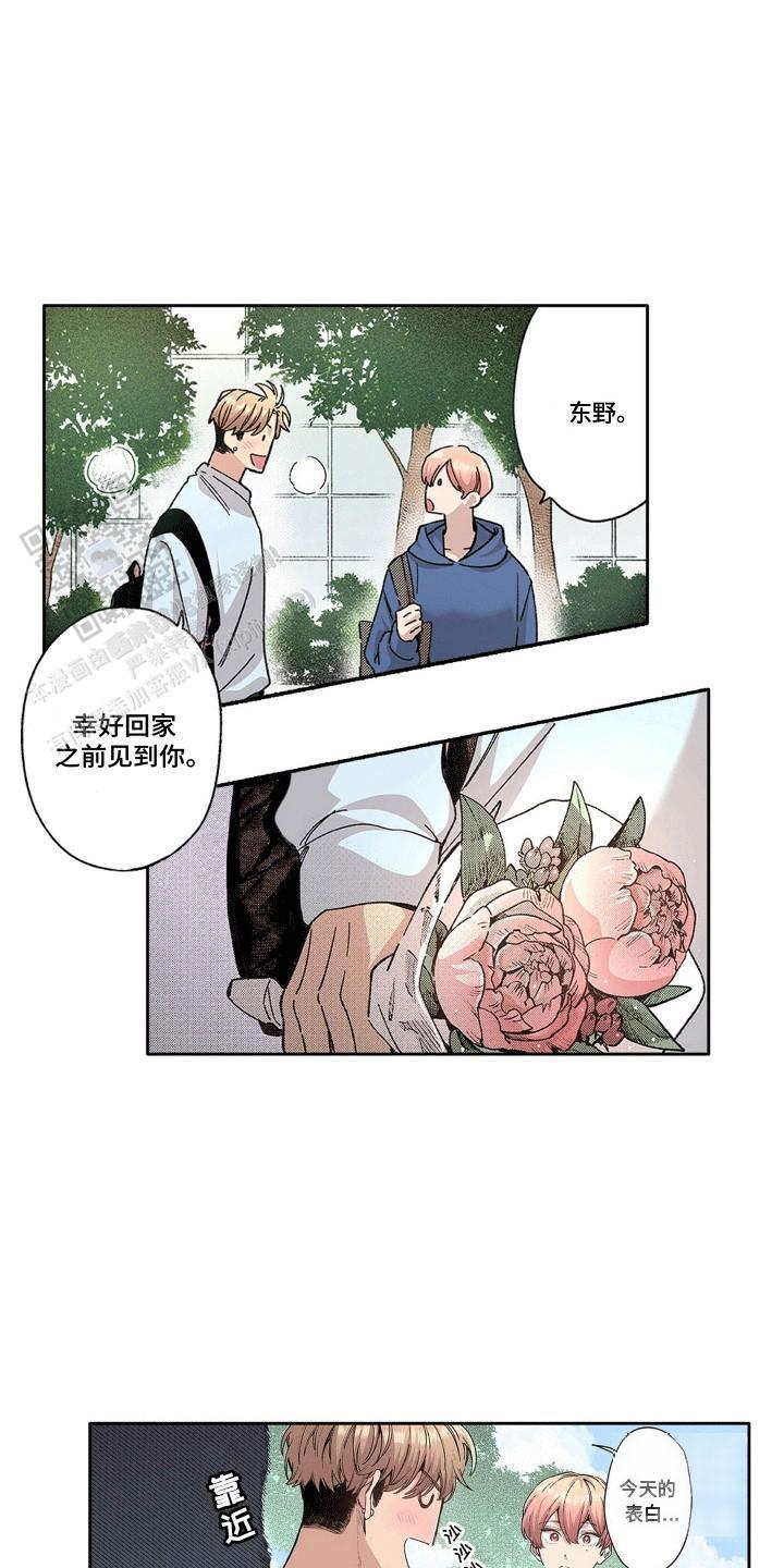 奇怪的豆豆漫画,第11话2图