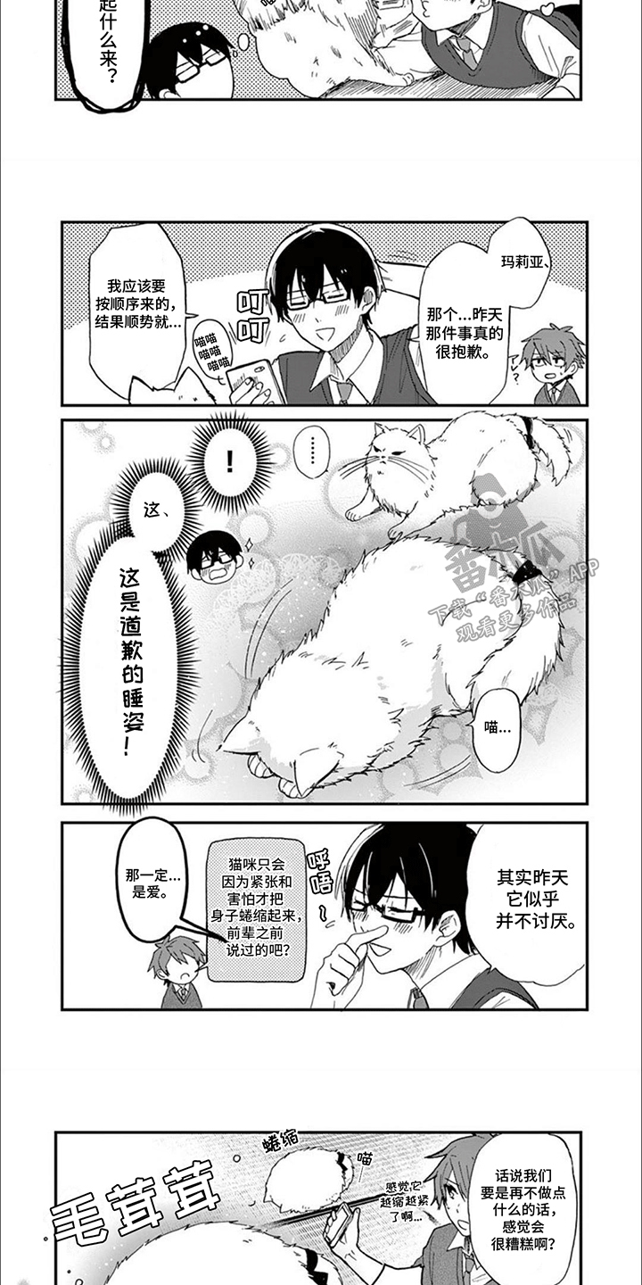 三花猫猫部漫画,第7话1图