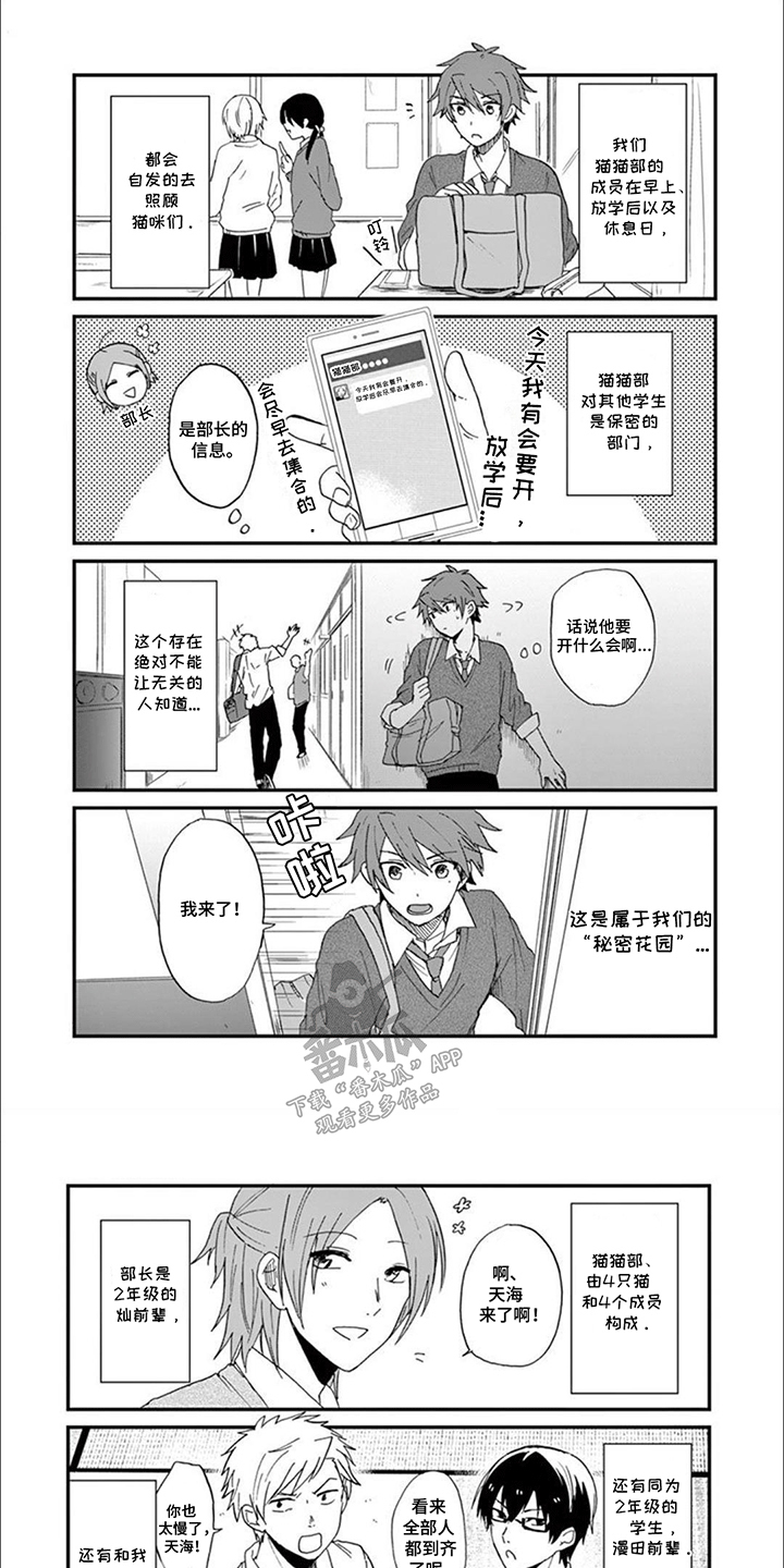 三花猫猫部漫画,第1话1图