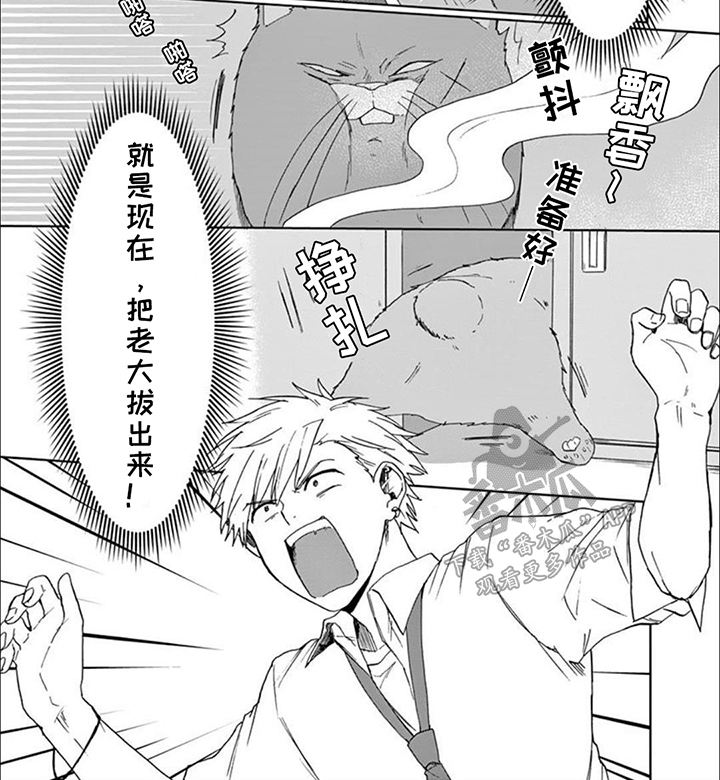 三花猫猫部漫画,第11话2图
