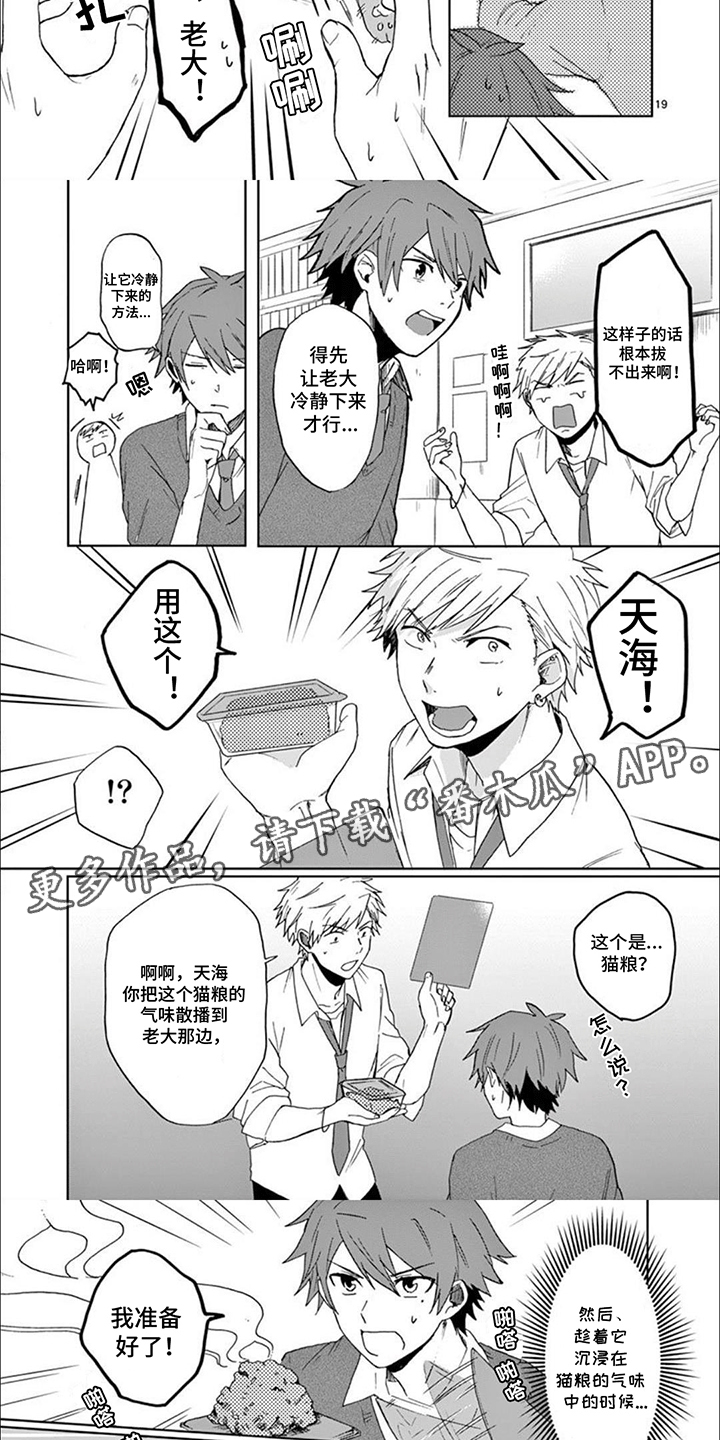 三花猫猫部漫画,第11话1图