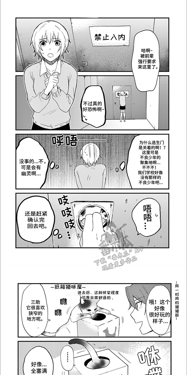 三花猫猫部漫画,第18话1图