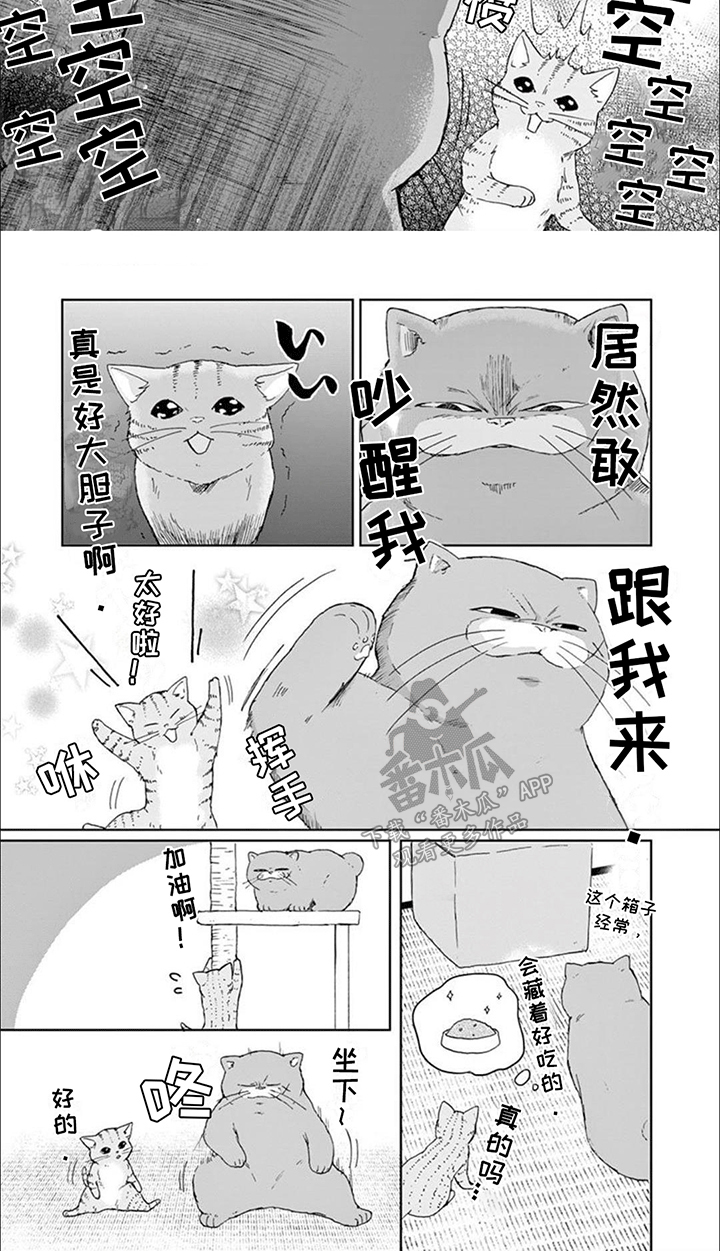 三花猫猫部漫画,第14话1图
