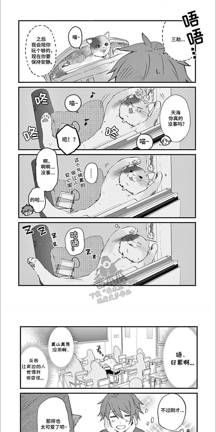 三花猫猫部漫画,第5话1图