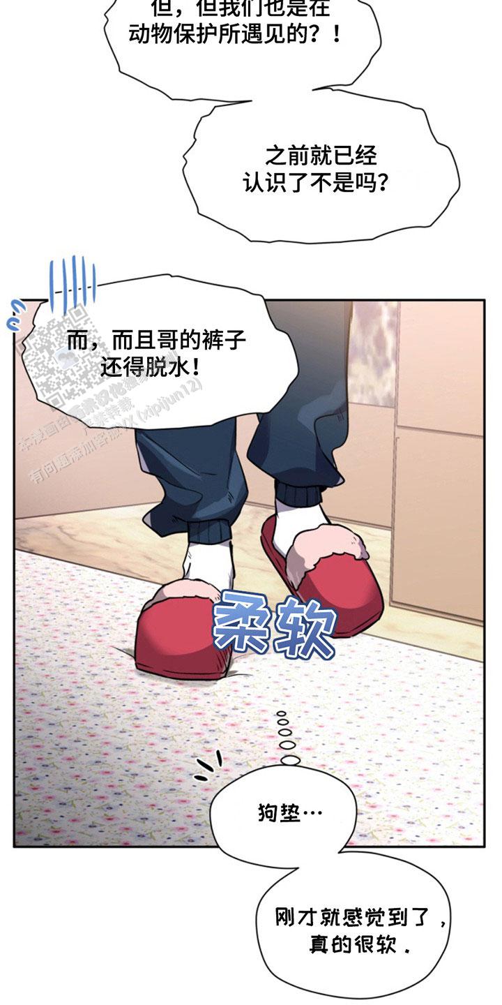 忠犬八公的故事电影国语版漫画,第33话1图