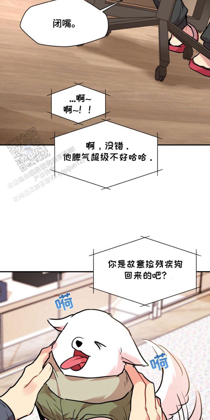 忠犬狂欢全集免费观看完整版漫画,第31话1图