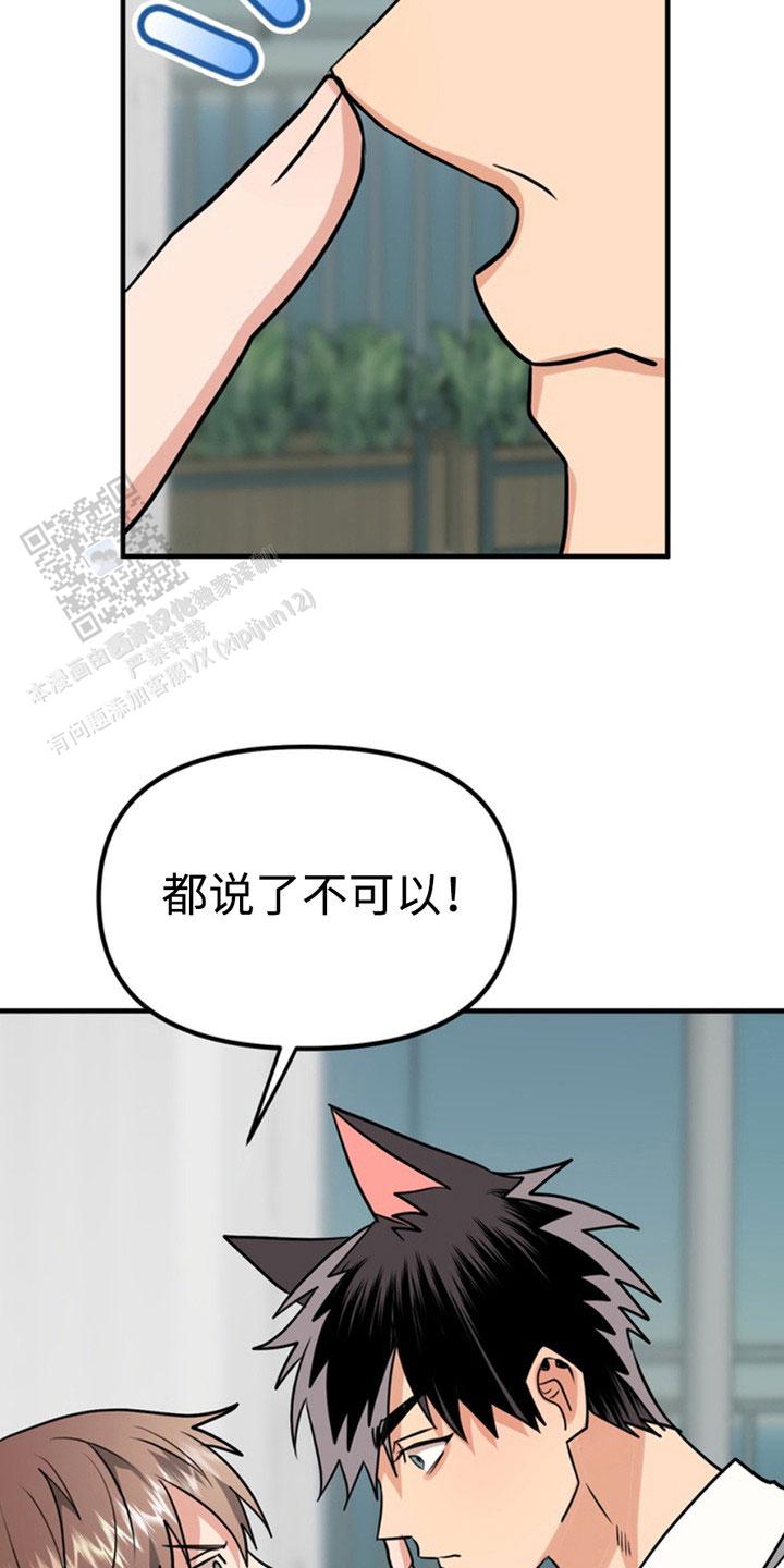 忠犬狂欢漫画,第53话1图