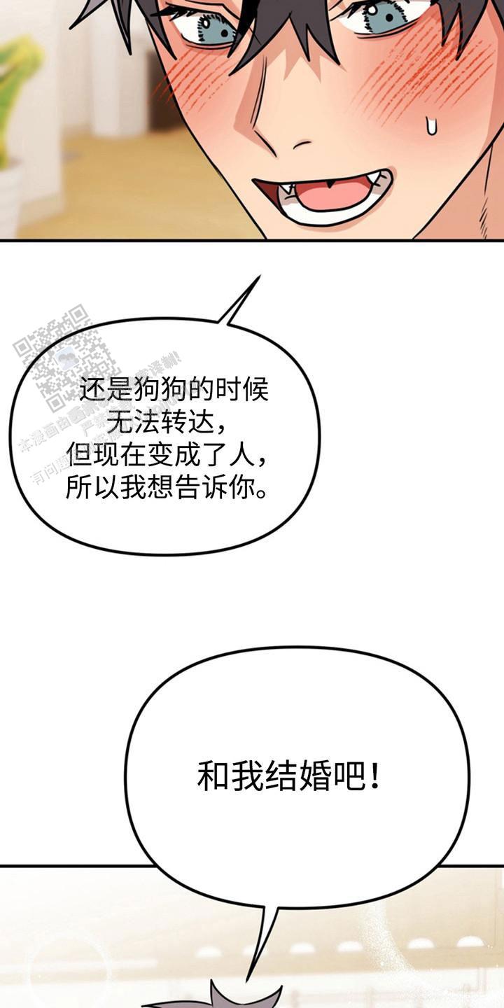 忠犬八公是什么狗漫画,第50话2图