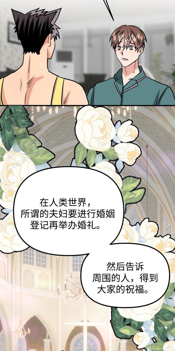 忠犬狂欢漫画,第51话2图