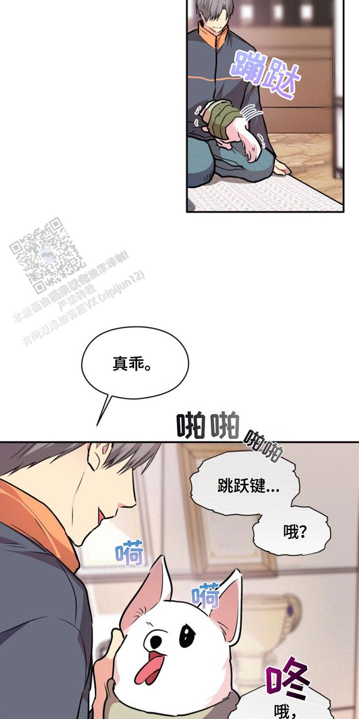 忠犬狂欢全集免费观看完整版漫画,第31话1图