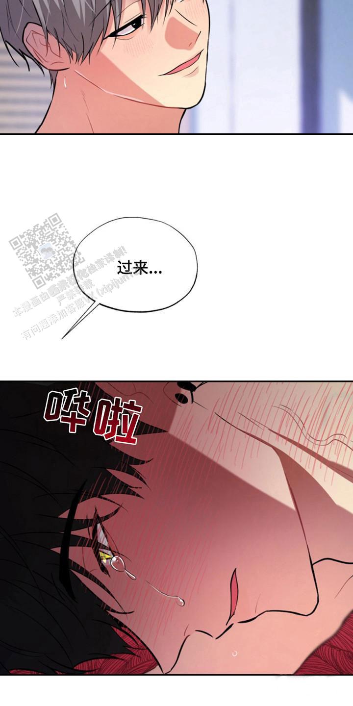 忠犬狂欢漫画,第39话2图