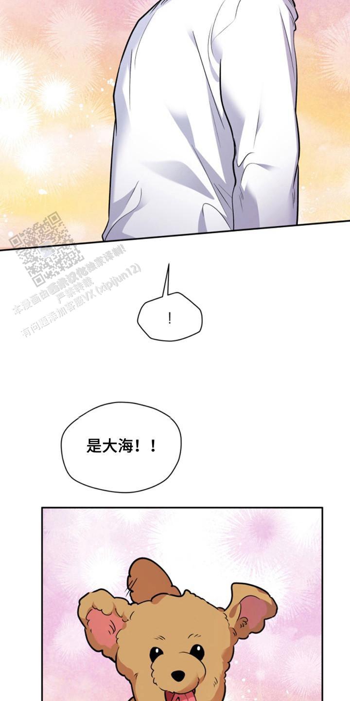 忠犬狂欢漫画,第39话2图