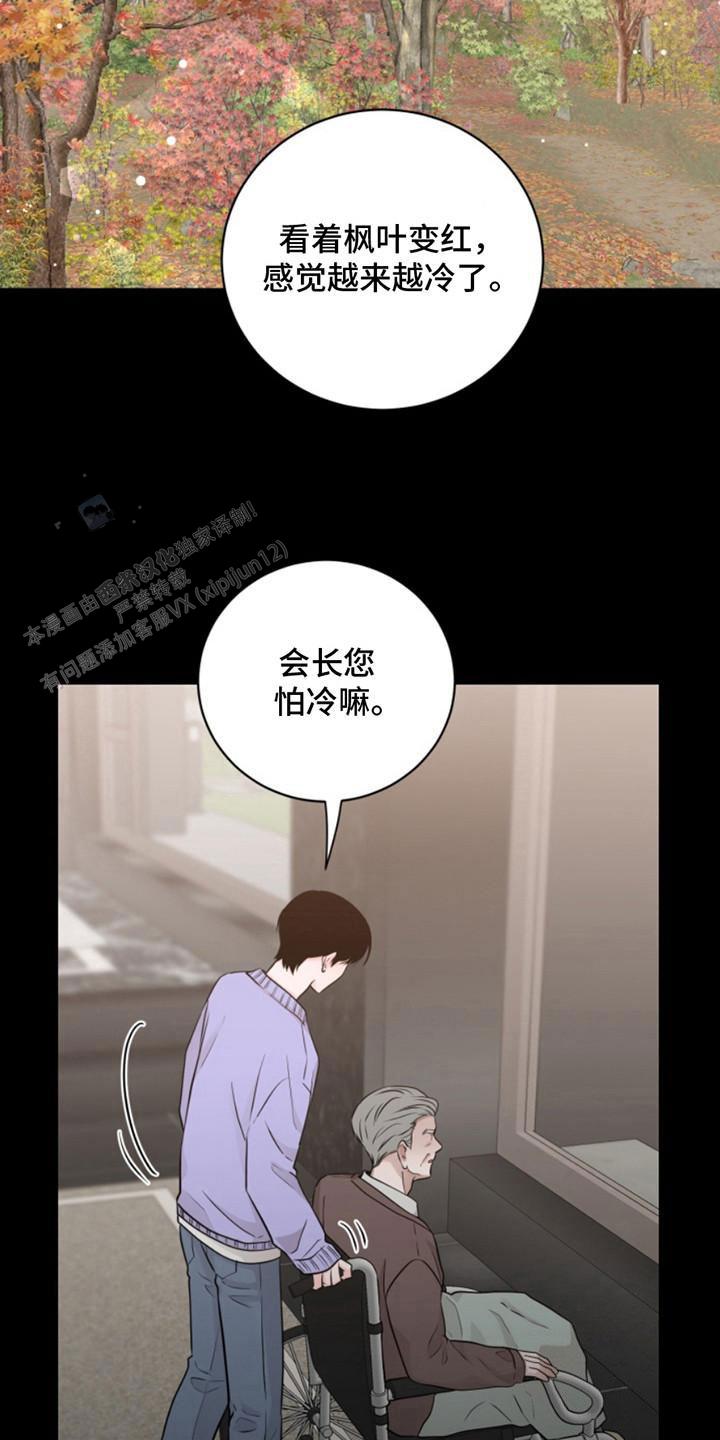 忠犬帕尔玛电影解说漫画,第42话2图