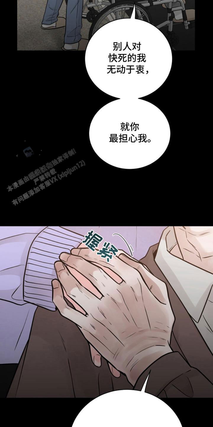 忠犬帕尔玛电影解说漫画,第42话1图