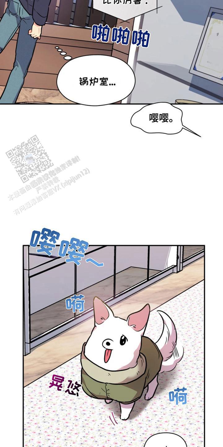 忠犬狂欢全集免费观看完整版漫画,第31话1图