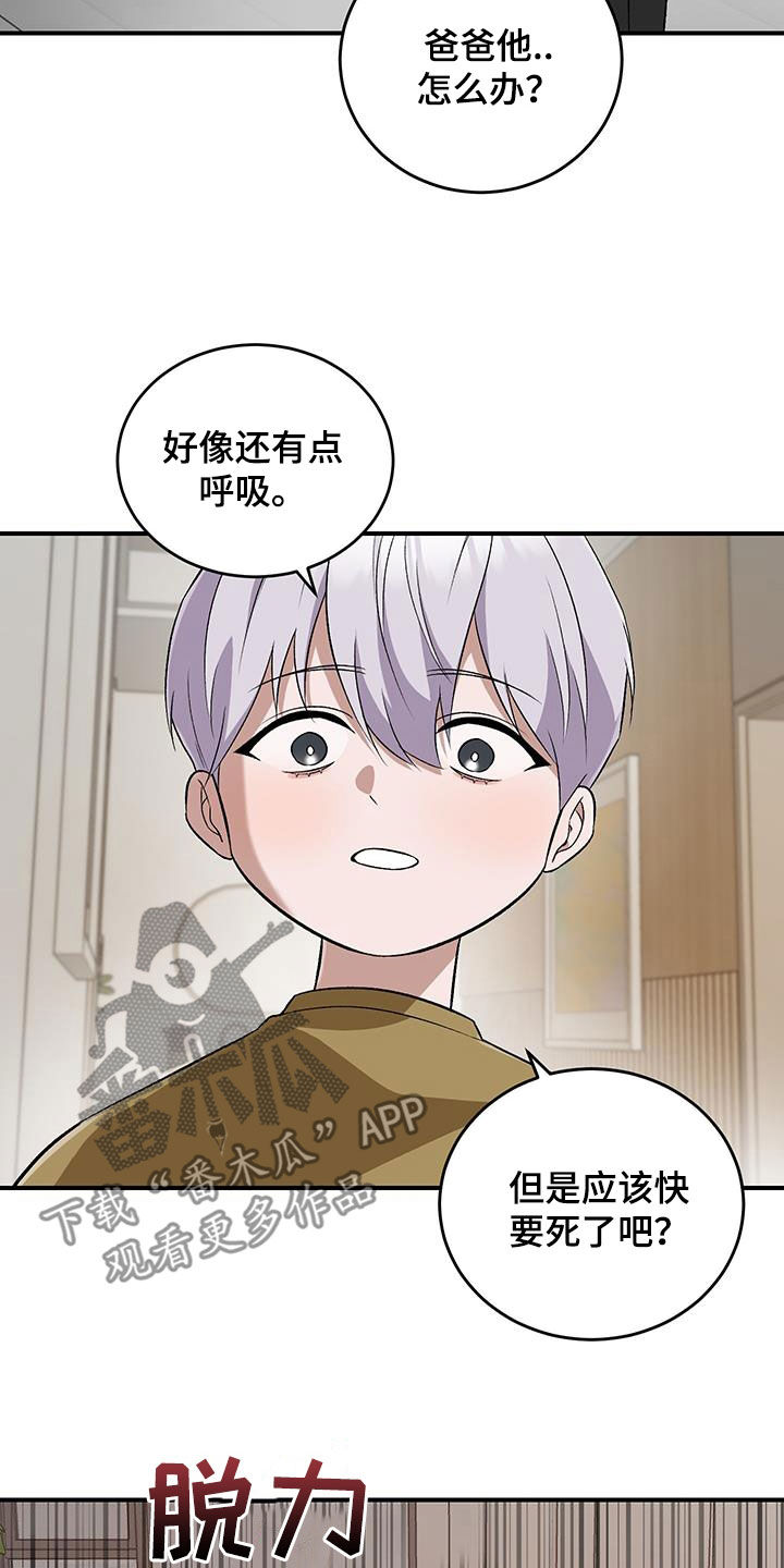 黑芝麻汤圆的营养价值漫画,第54话1图