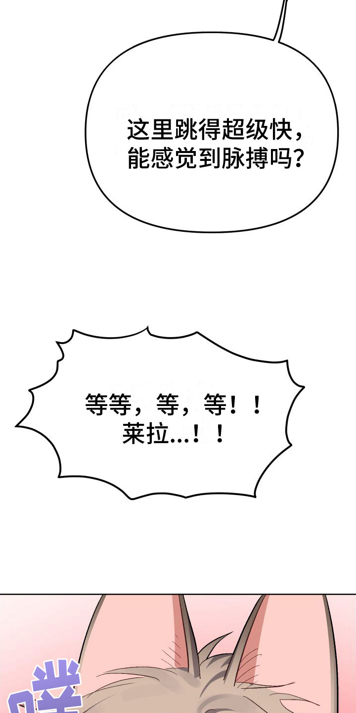 肉食与蔬菜营养成分统计图漫画,第7章：上下1图