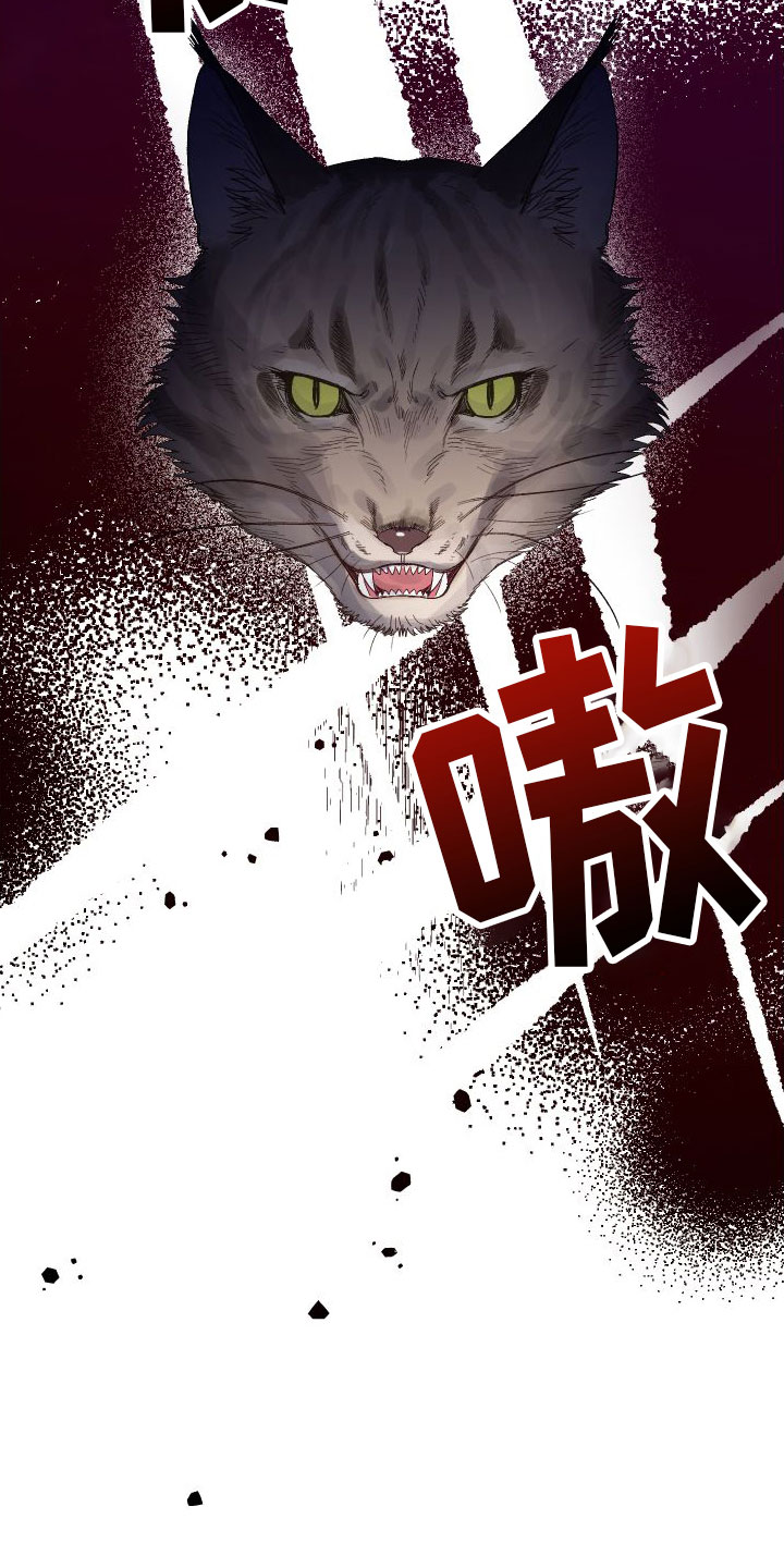 肉食行者漫画,第3章：见面2图