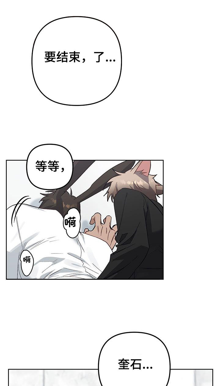 肉食行者漫画,第17话2图