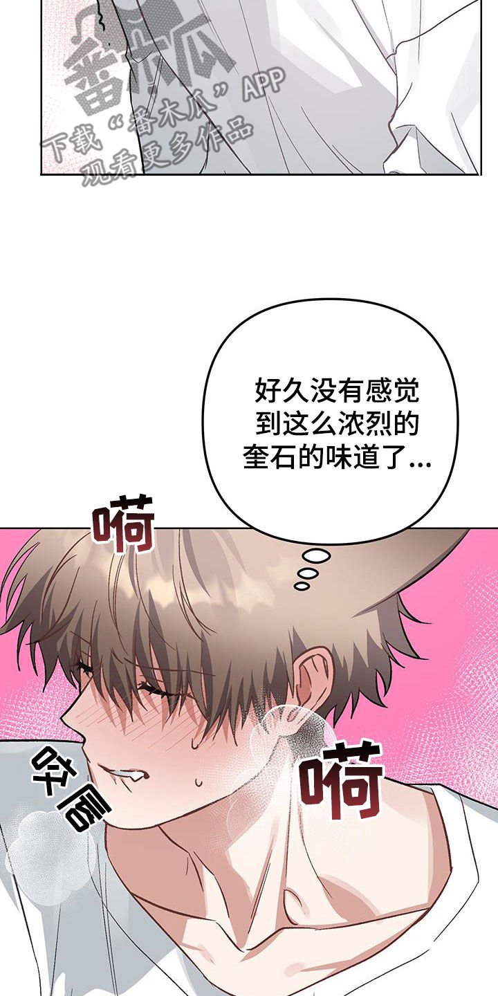 肉食与蔬菜比例漫画,第21话2图