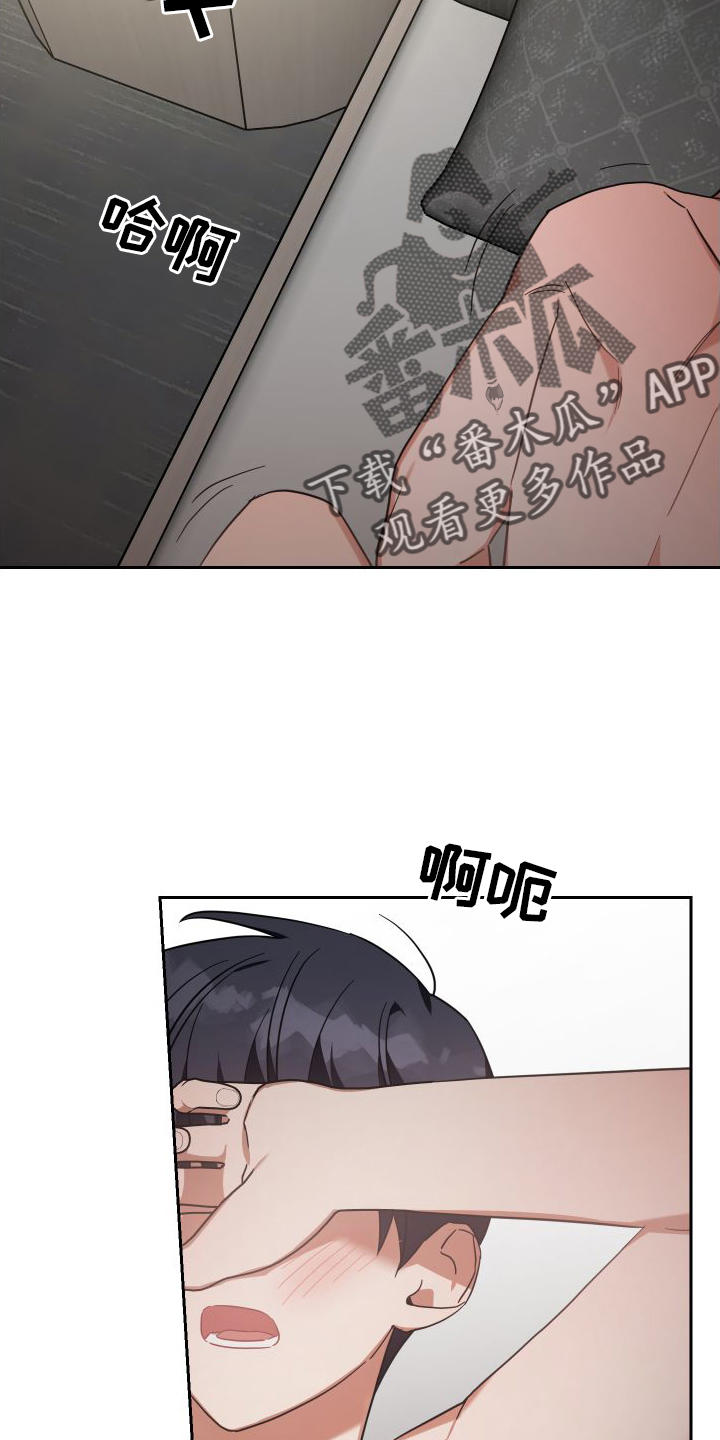 狼人与血族动漫漫画,第117章：对策2图