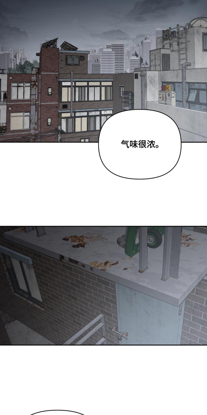 狼人和血族小说漫画,第74话2图