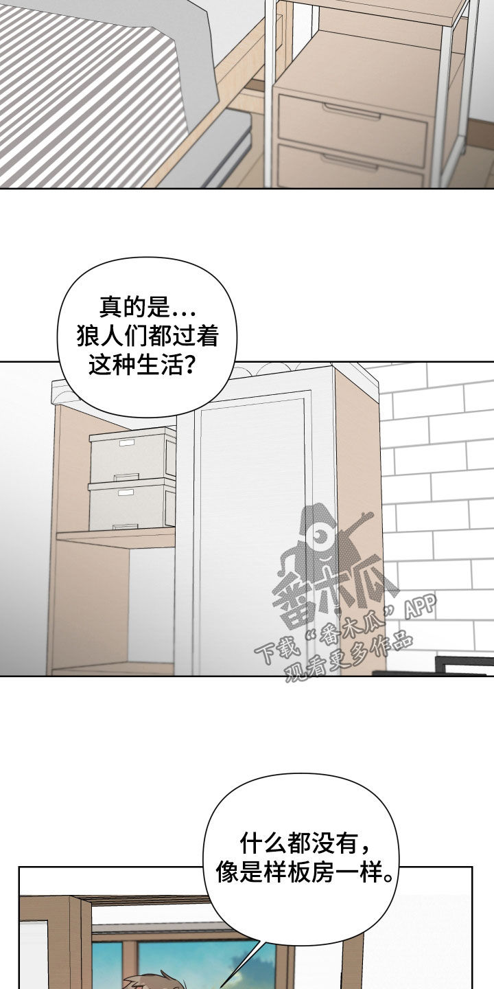 狼人与猿人一番战漫画,第53话1图