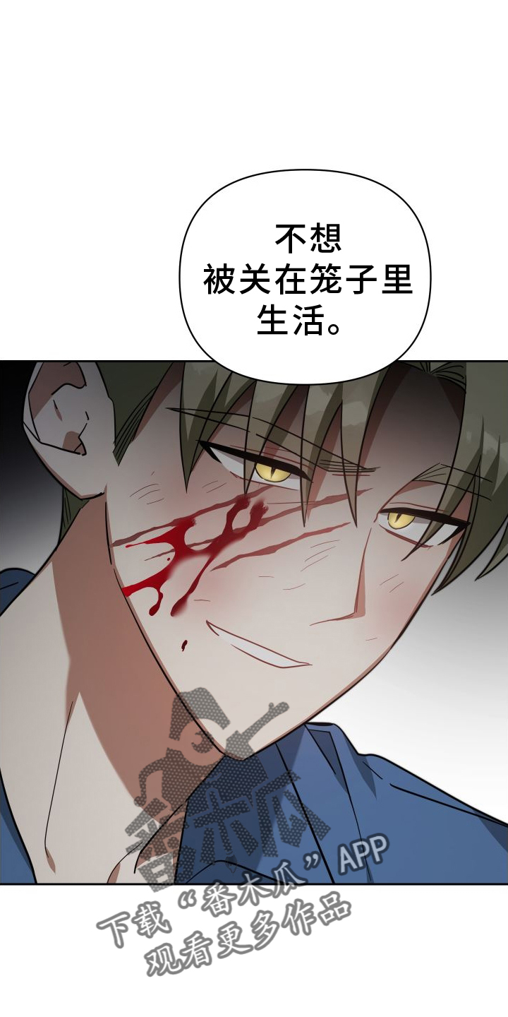 狼人与吸血鬼骑士漫画,第114章：劝说2图