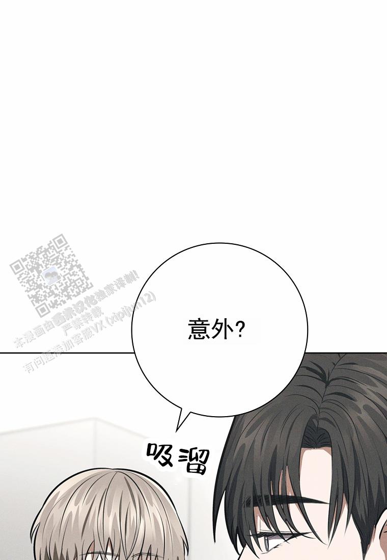 成为皇太子妃漫画双男主小说漫画,第20话1图