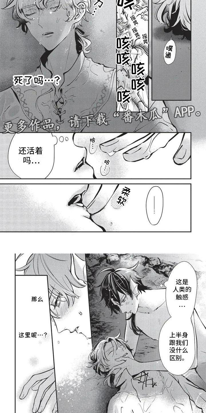 人鱼王子结局漫画,第4话2图