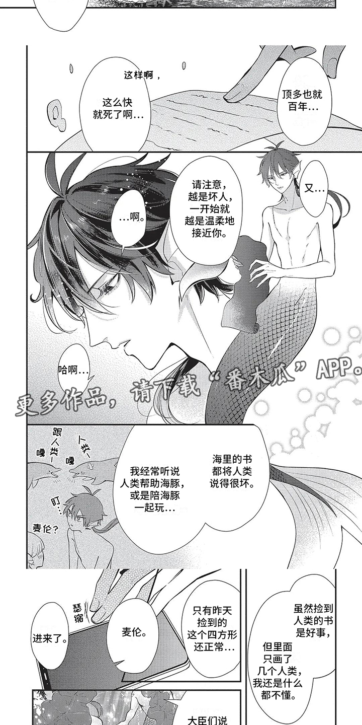 人鱼王子和撒谎恶魔漫画,第14话2图