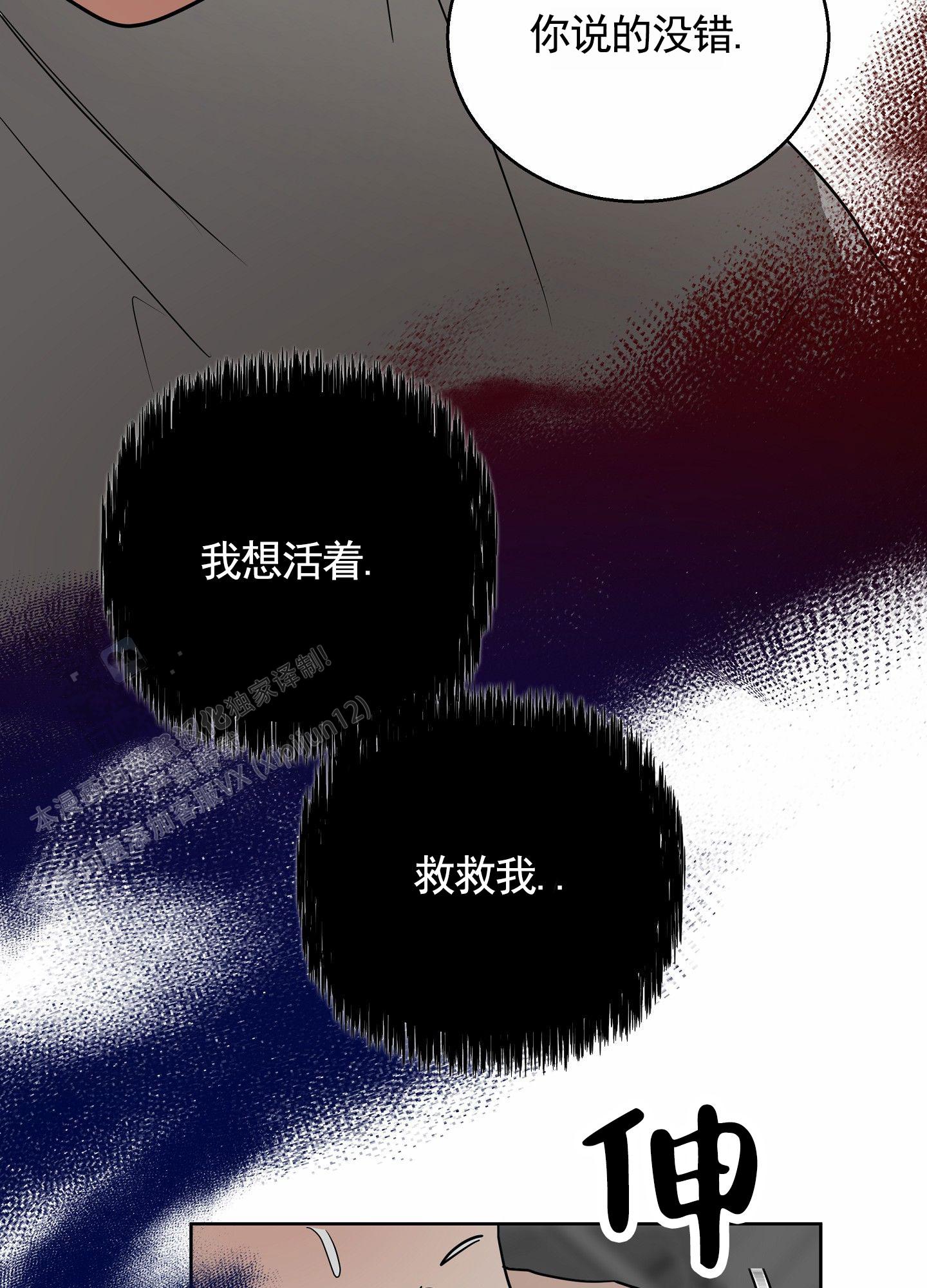 狼与狐狸动画片段漫画,第9话1图