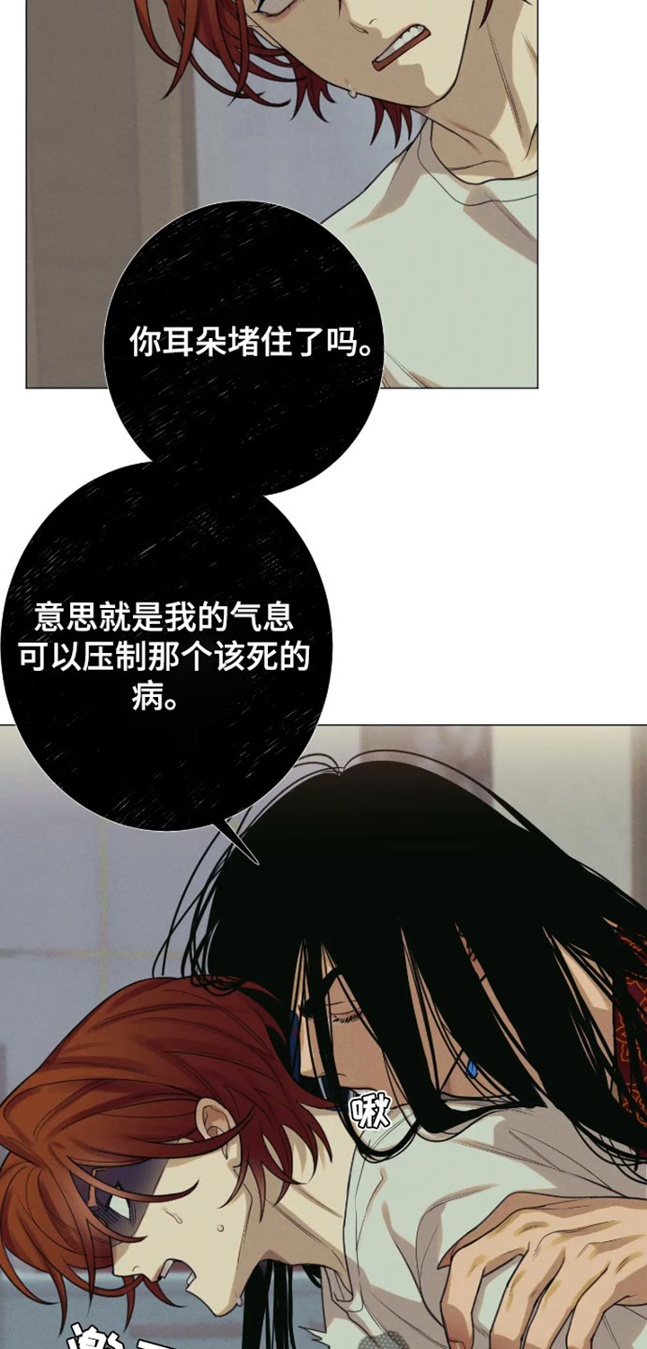 金丹丸功效和作用漫画,第16话2图