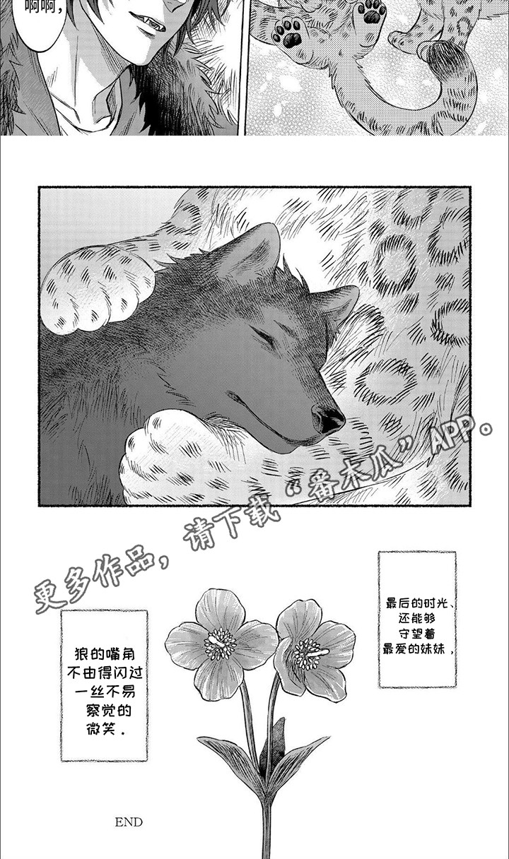 电影剧雪豹漫画,第20话2图