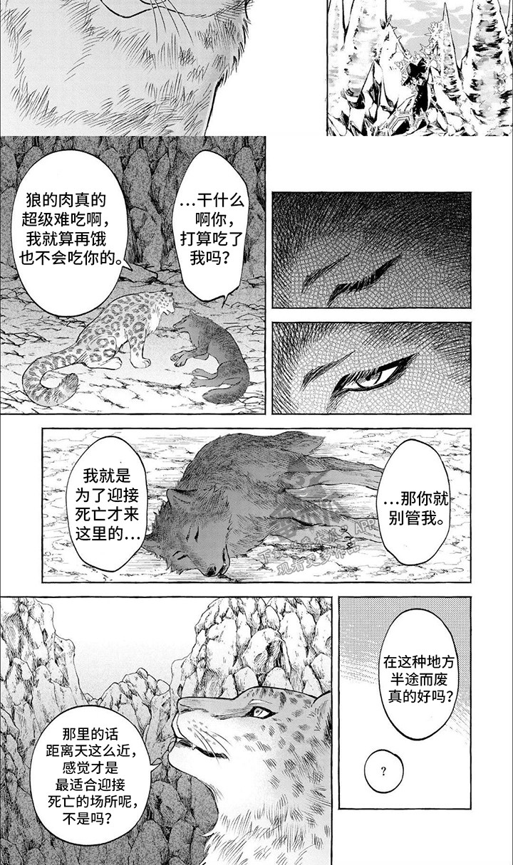 老片雪豹漫画,第11话1图