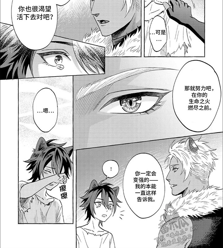 雪豹免费观看全集在线观看漫画,第2话2图