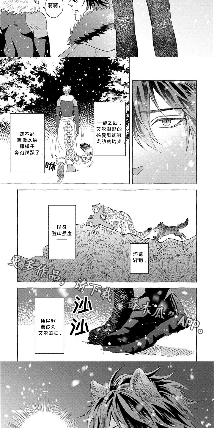 雪豹免费观看全集在线观看漫画,第4话1图
