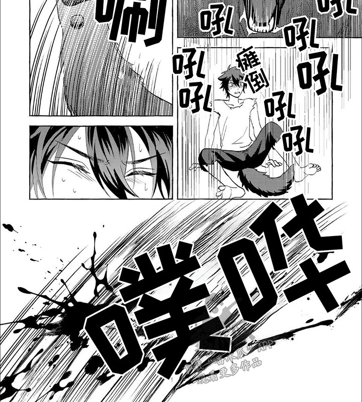 雪豹免费观看全集在线观看漫画,第3话2图