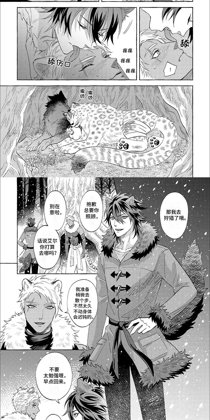 雪豹动物漫画,第4话2图