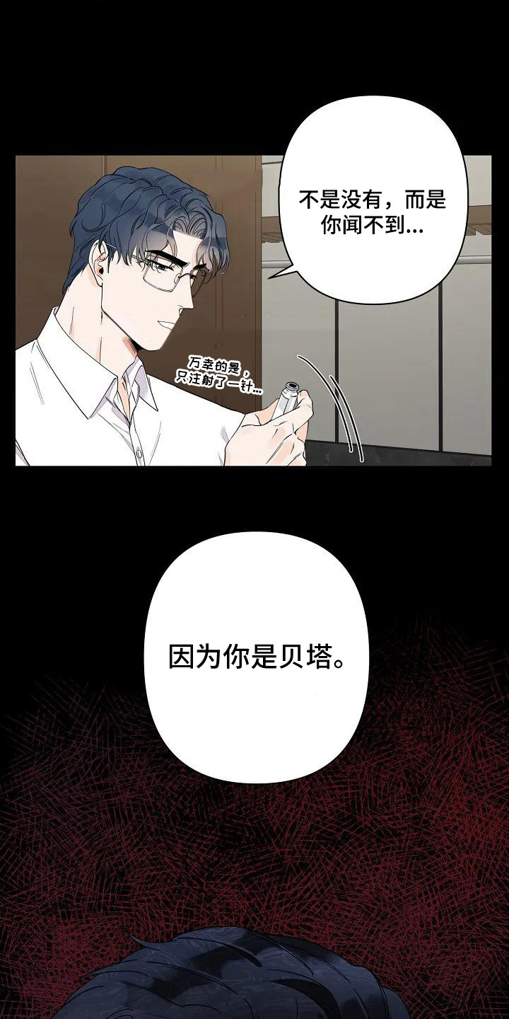 劣质阿尔法是什么意思漫画,第2话1图