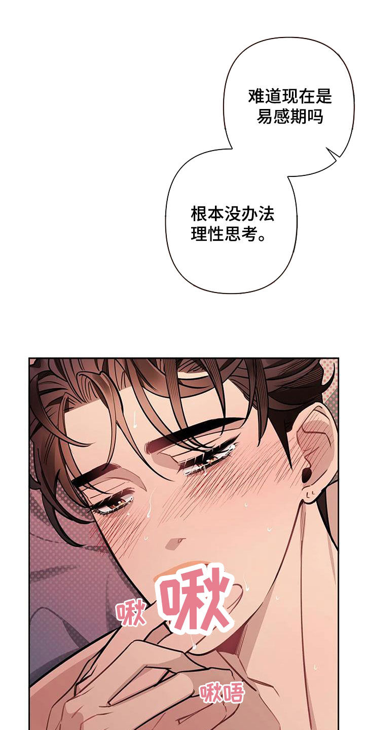 劣质衣服为啥有刺鼻味道漫画,第95话2图