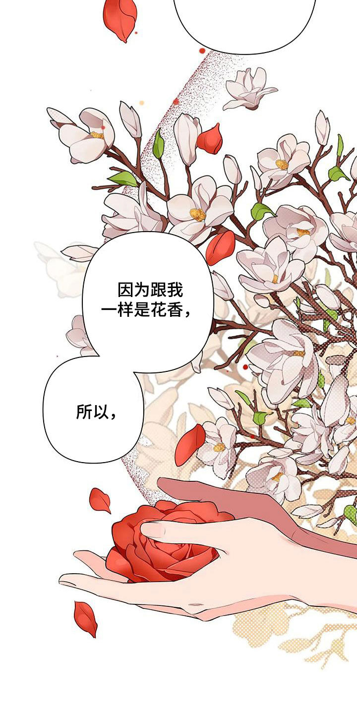 阿尔法褪色漫画,第72章：不要走1图