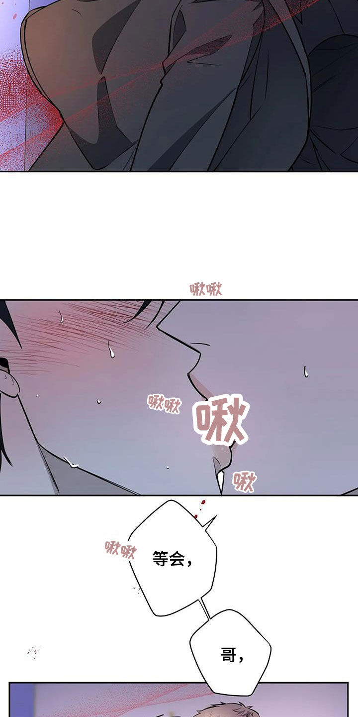 劣质阿尔法漫画其他名字漫画,第70章：我是谁2图