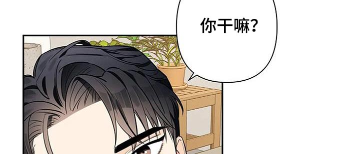 优质阿尔法和劣质阿尔法漫画,第58话2图