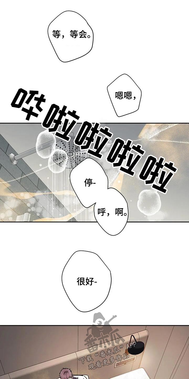 阿尔法质量怎么样漫画,第41话1图