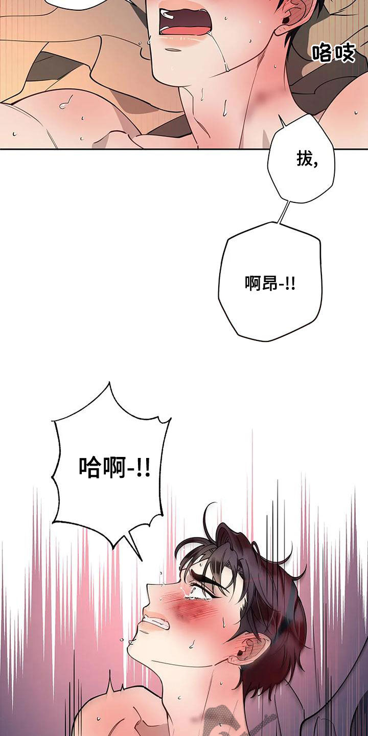 优质埃尔法和劣质埃尔法区别漫画,第29话1图