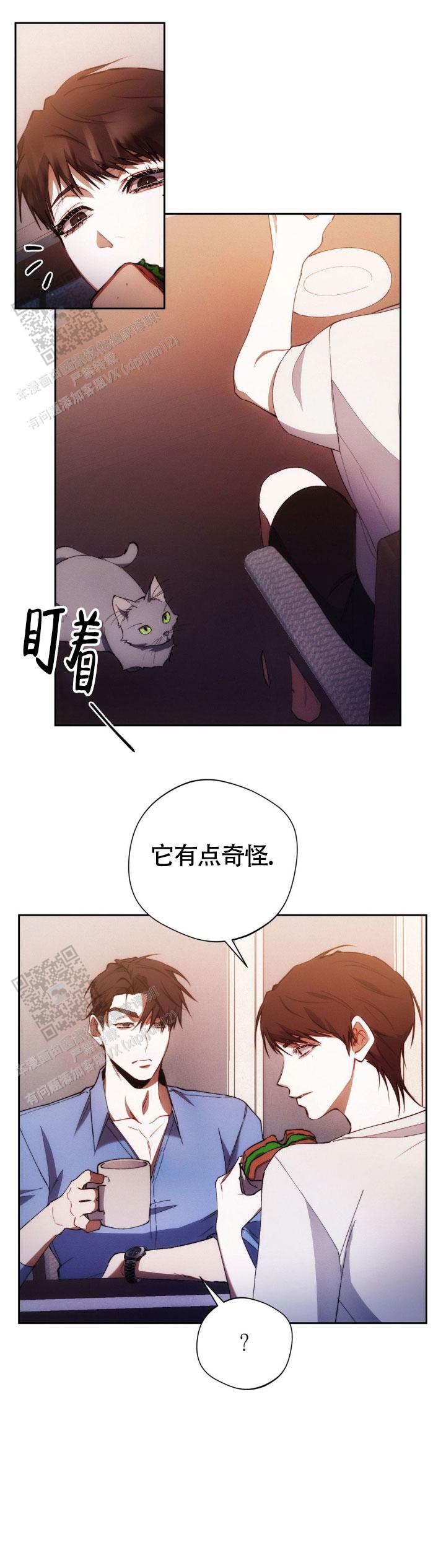 红色公寓小说漫画,第56话2图