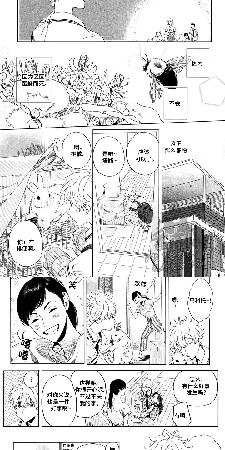 草原雄狮对决漫画,第1话2图